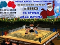 Новогодний турнир 2016-2017_