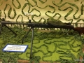 IMG-001