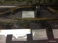 IMG-6b