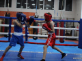 IMG_1988