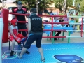 Изображение 511-001