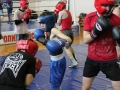IMG_9146.jpg